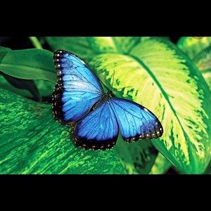 Meet your Posher, Kara